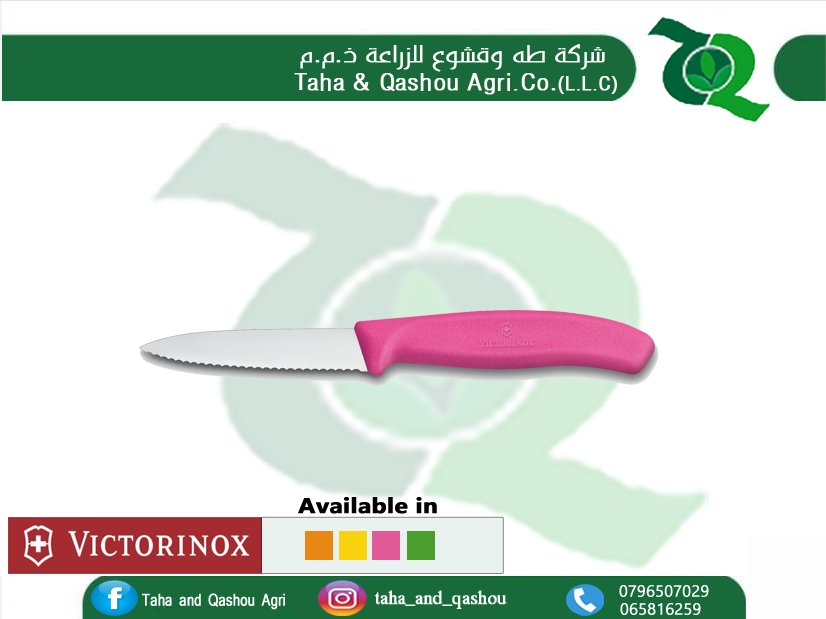 Swiss Classic 3.25" Serrated Spear Tip Paring Knife by Victorinox