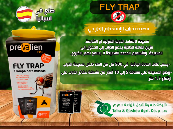 مصيدة الذباب المنزلي – بريفالين Prevalien Fly Trap