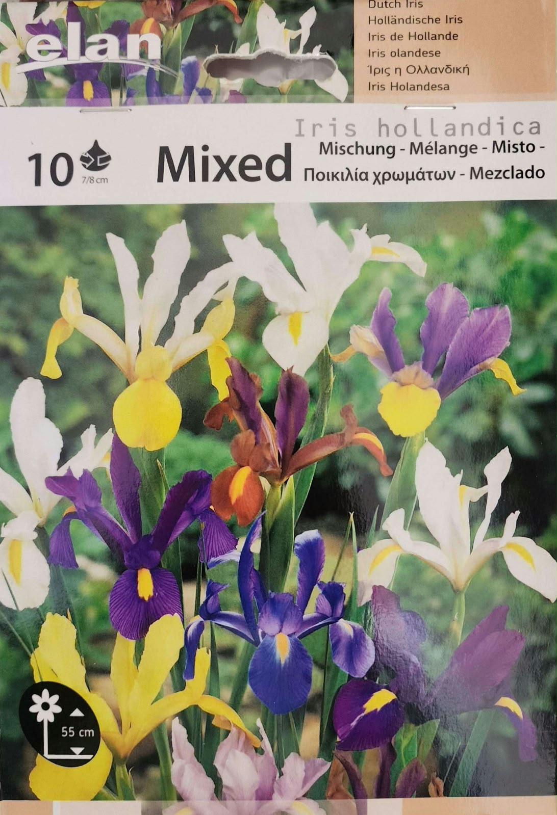 Iris Hollandica Mixed