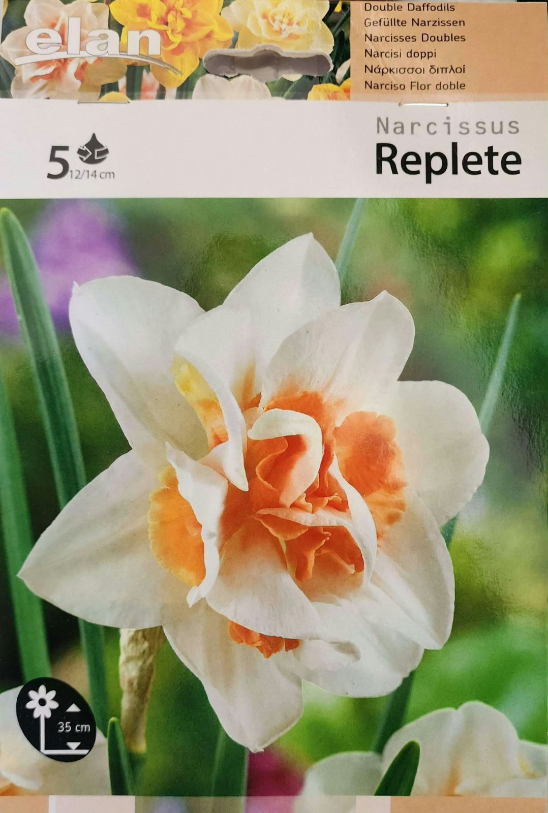Narcissus Replete