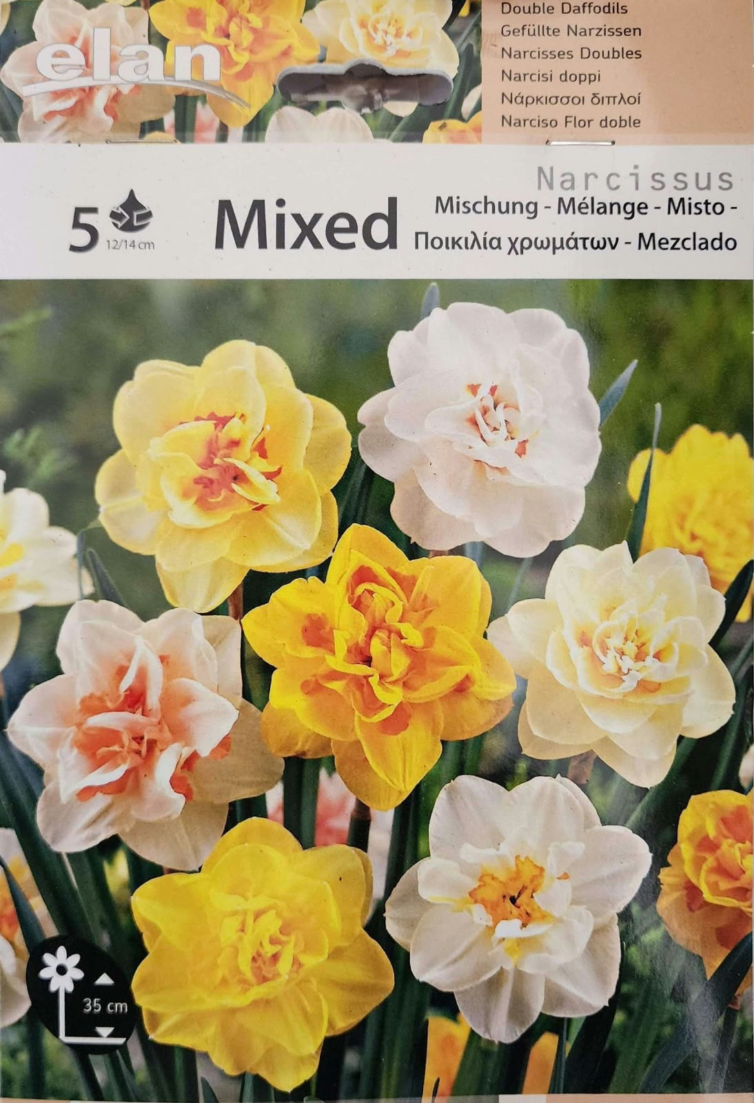 Narcissus Mixed