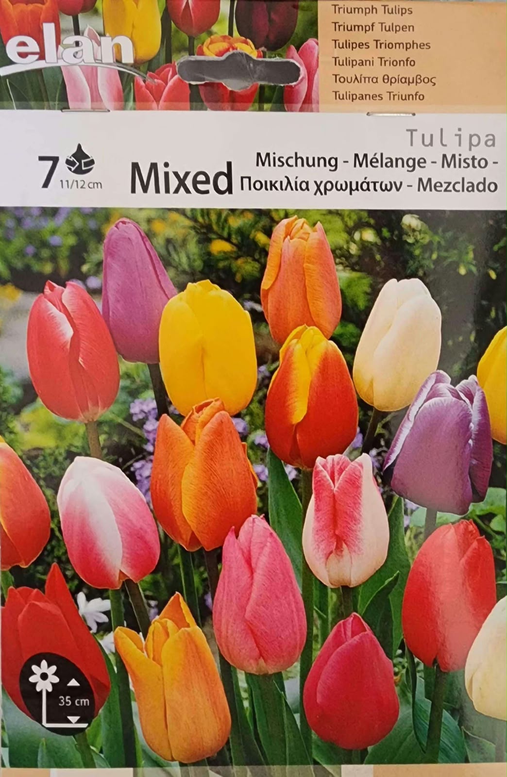 Tulip Mixed